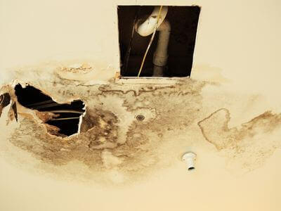 Professional basement flood restoration services services in Boca Raton